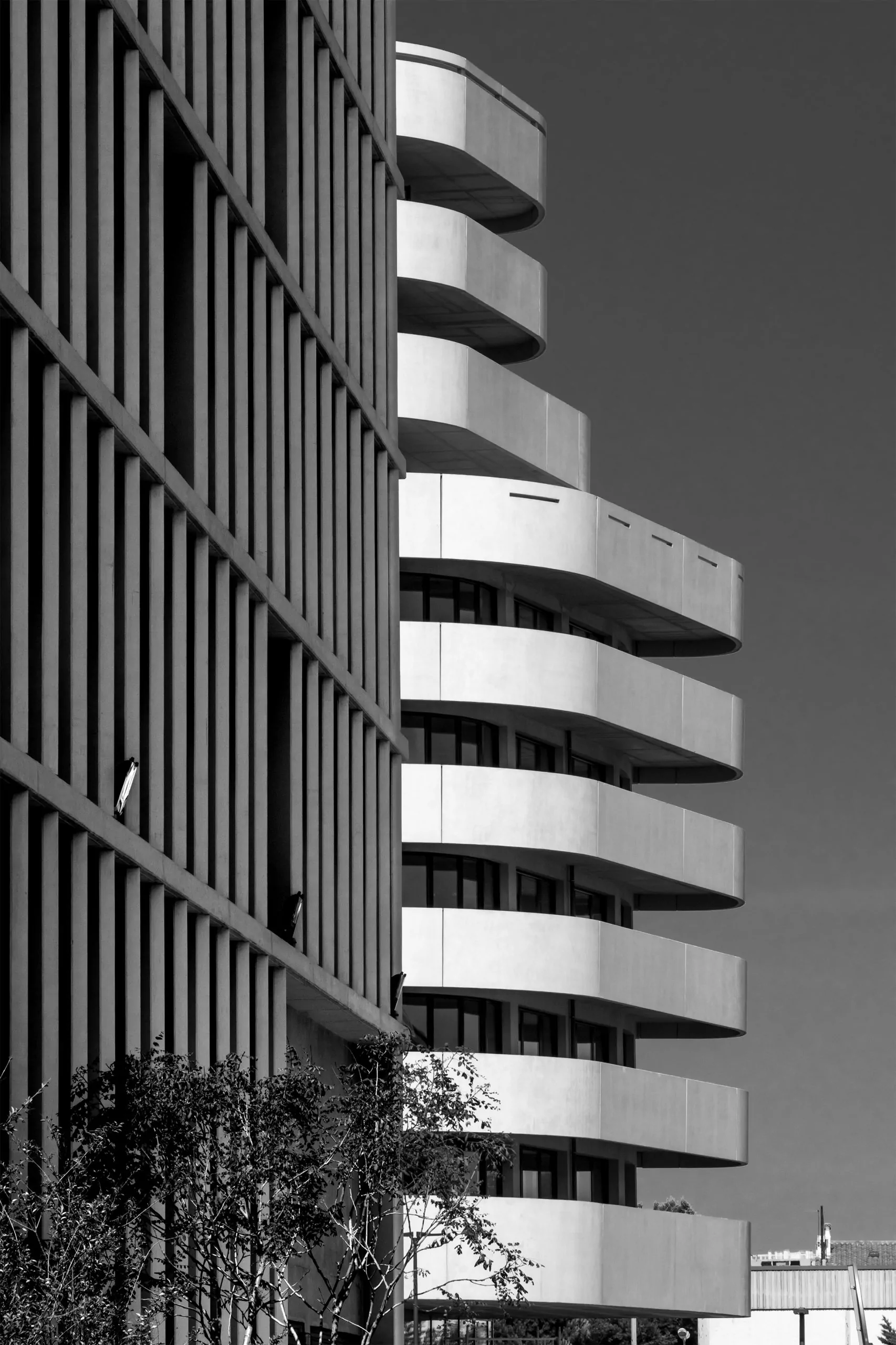 CorinneVezzoni_LotCAllar_Photo5
